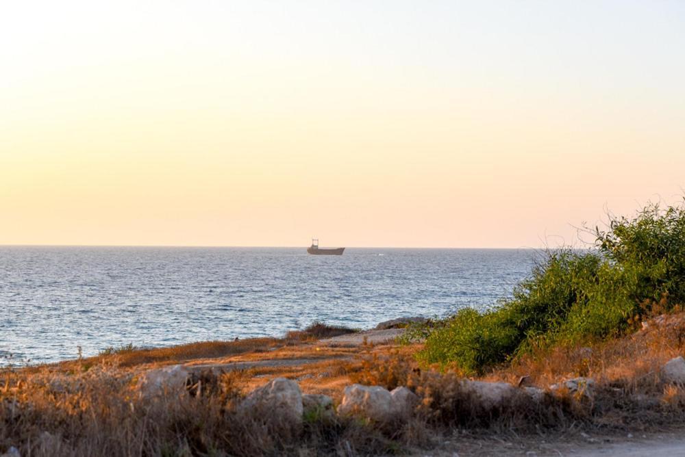 Beautiful Apartment Near The Sea And A Large Private Garden Paphos Buitenkant foto