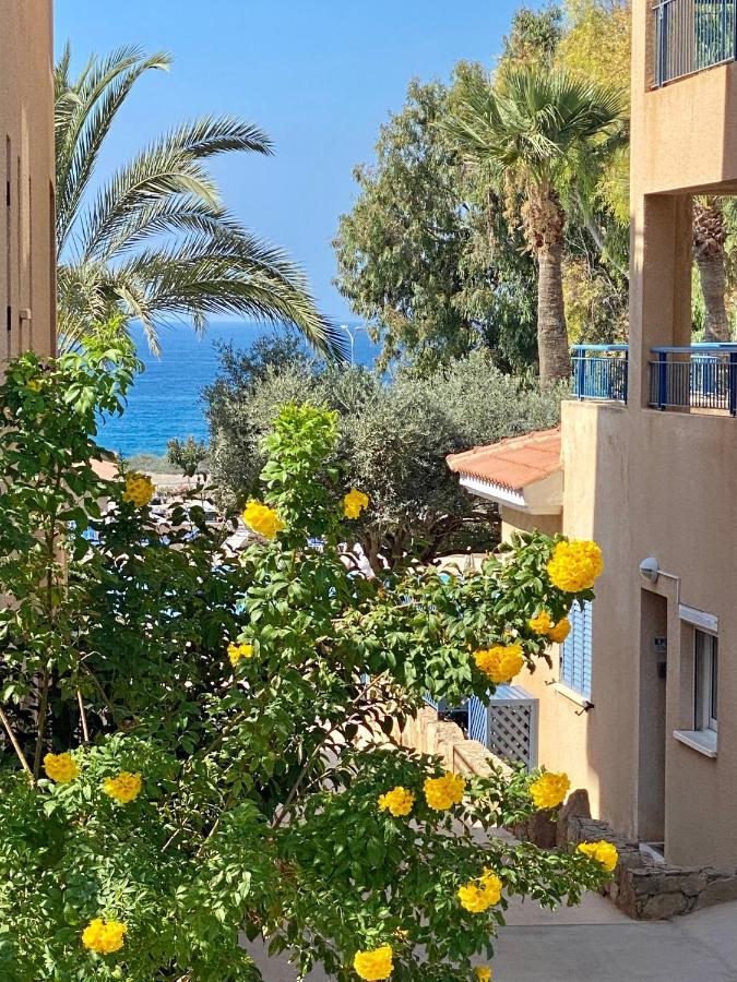 Beautiful Apartment Near The Sea And A Large Private Garden Paphos Buitenkant foto